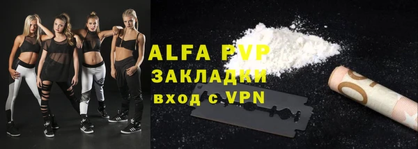 крисы Аркадак