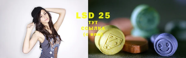 крисы Аркадак