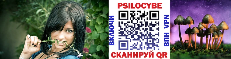 ОМГ ОМГ tor  продажа наркотиков  Спасск-Дальний  Галлюциногенные грибы Cubensis 